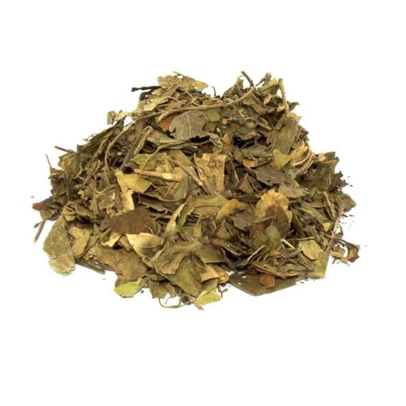 Gimneya bitkisi 30 gr